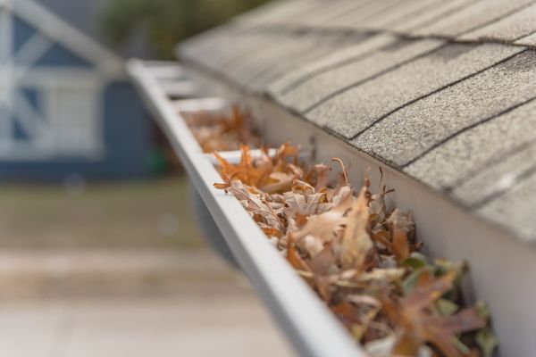 Leaf Barrier Installation in Lansdale